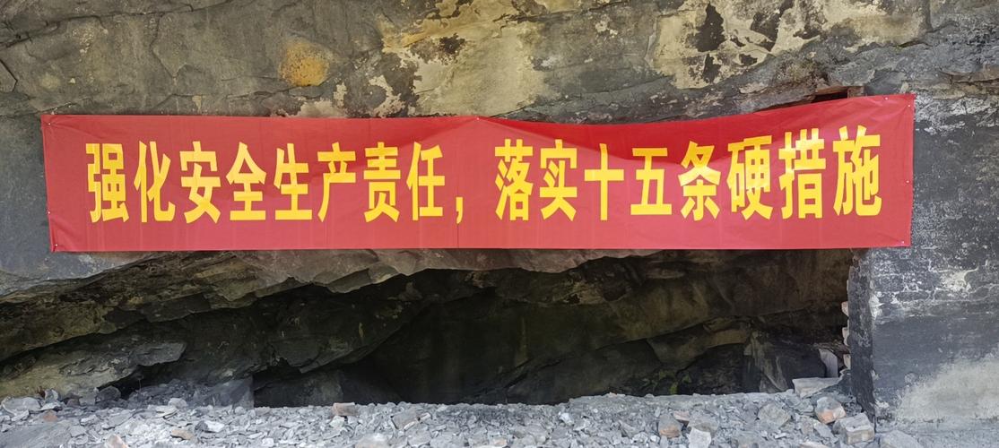 沈阳矿业投资